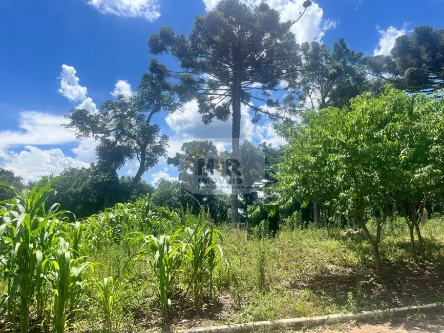 Foto 1 de Terreno / Lote à venda, 525m2 em Nova Petropolis - RS