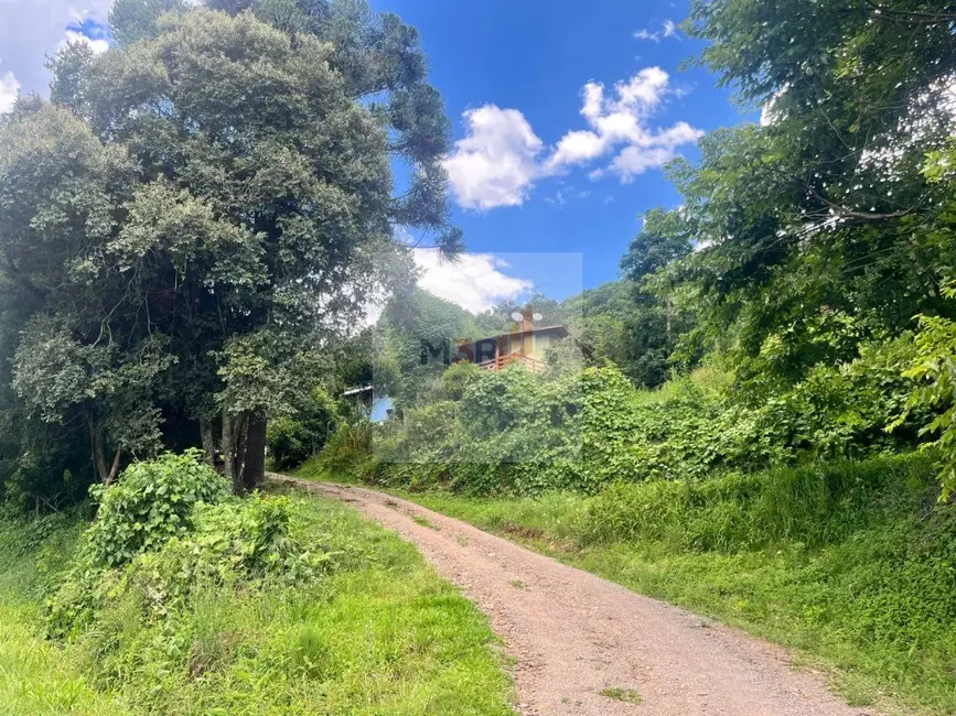 Foto 3 de Terreno / Lote à venda, 360m2 em Nova Petropolis - RS