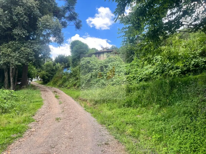 Foto 5 de Terreno / Lote à venda, 360m2 em Nova Petropolis - RS