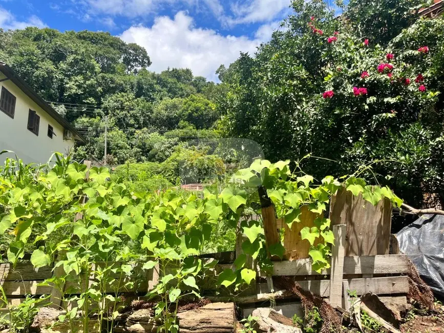Foto 3 de Terreno / Lote à venda, 360m2 em Nova Petropolis - RS