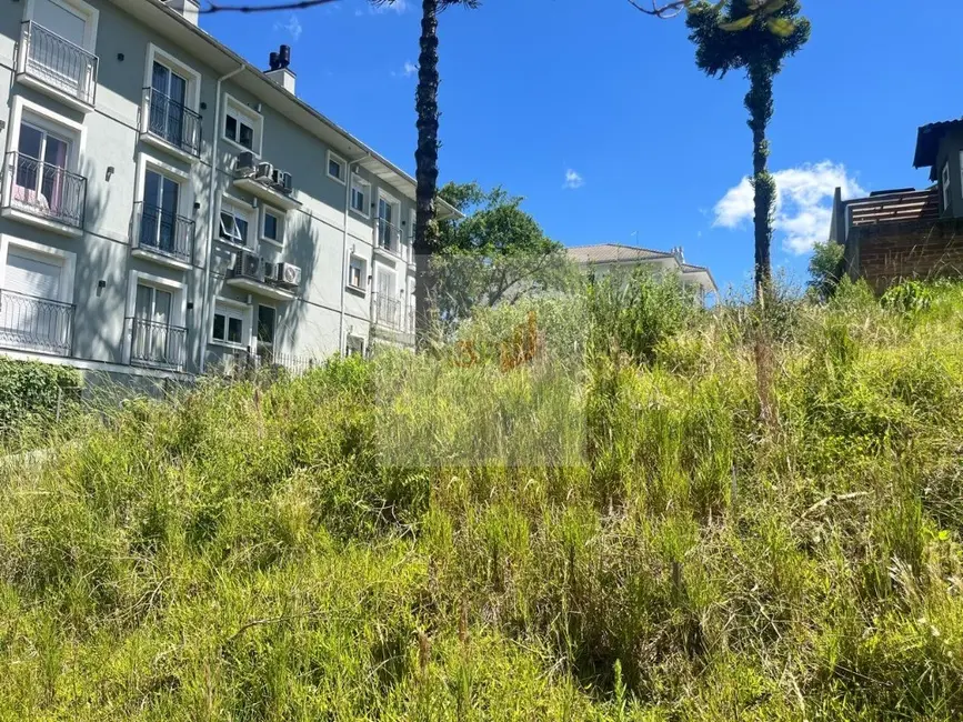 Foto 1 de Terreno / Lote à venda, 450m2 em Nova Petropolis - RS