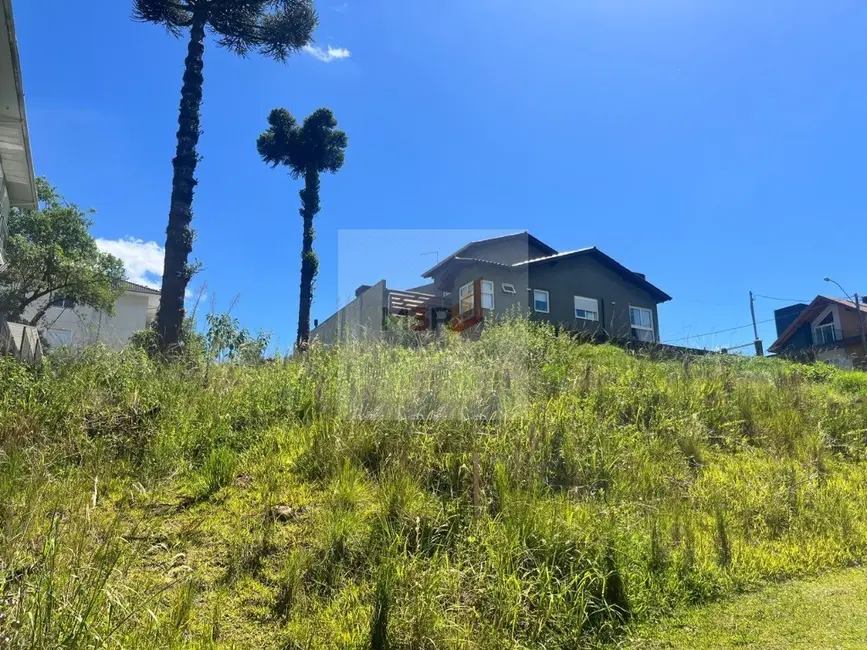 Foto 2 de Terreno / Lote à venda, 450m2 em Nova Petropolis - RS