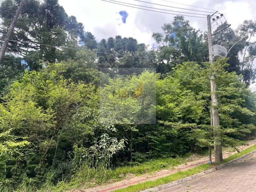 Foto 2 de Terreno / Lote à venda, 427m2 em Nova Petropolis - RS