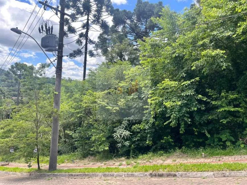 Foto 1 de Terreno / Lote à venda, 427m2 em Nova Petropolis - RS