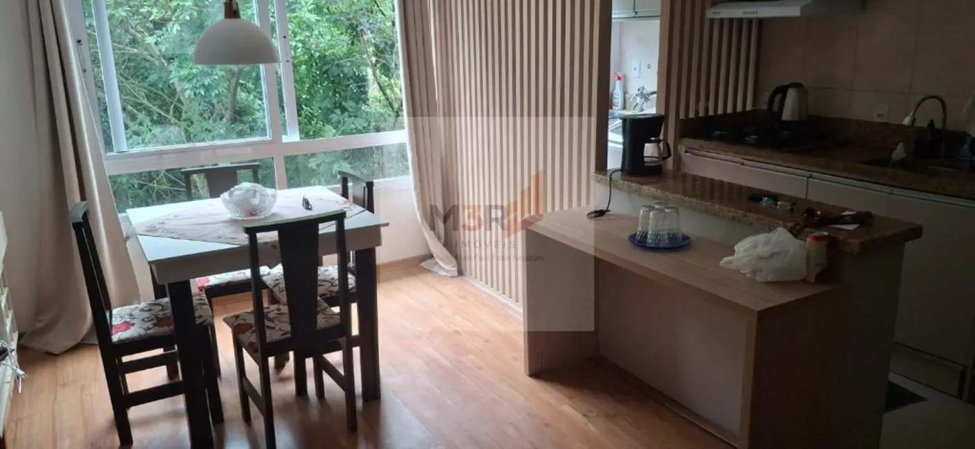 Foto 8 de Apartamento com 2 quartos à venda e para alugar, 53m2 em Nova Petropolis - RS