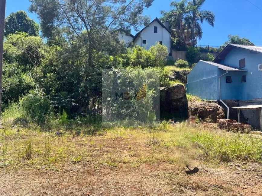 Foto 2 de Terreno / Lote à venda, 364m2 em Nova Petropolis - RS