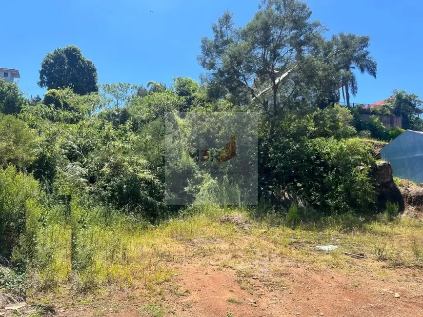 Foto 2 de Terreno / Lote à venda, 363m2 em Nova Petropolis - RS