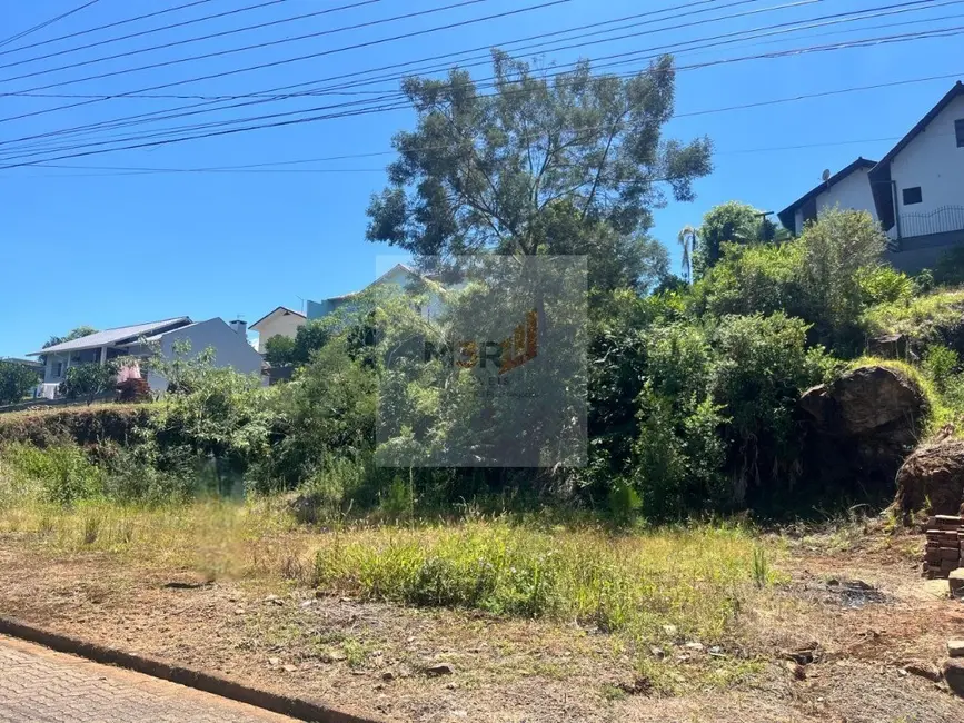 Foto 2 de Terreno / Lote à venda, 728m2 em Nova Petropolis - RS