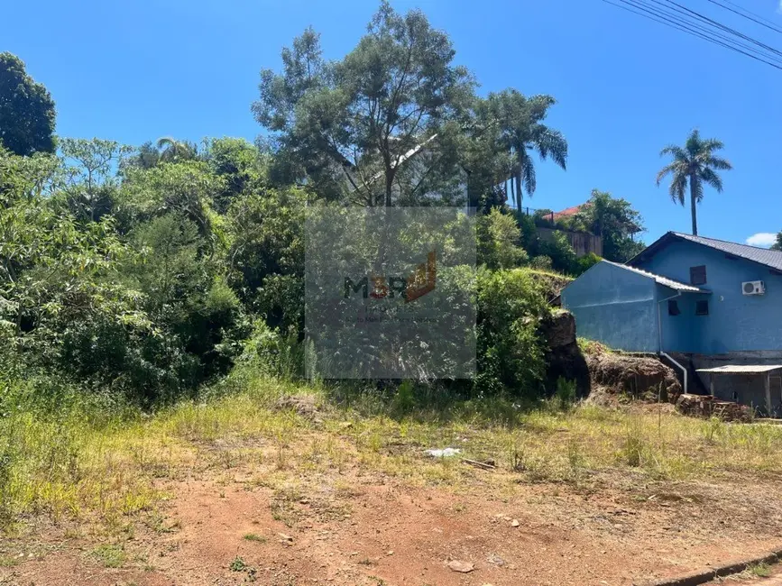 Foto 1 de Terreno / Lote à venda, 728m2 em Nova Petropolis - RS