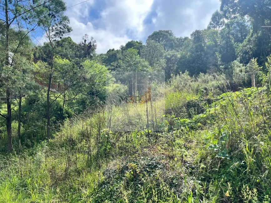 Foto 2 de Terreno / Lote à venda, 406m2 em Nova Petropolis - RS
