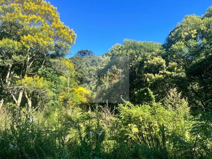 Foto 4 de Terreno / Lote com 1 quarto à venda, 25m2 em Nova Petropolis - RS