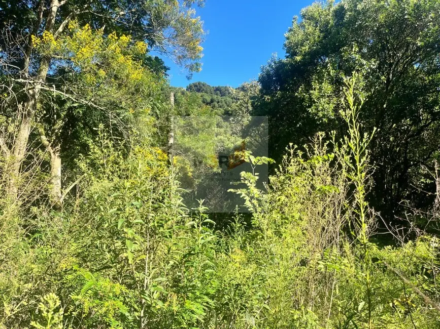 Foto 5 de Terreno / Lote com 1 quarto à venda, 25m2 em Nova Petropolis - RS