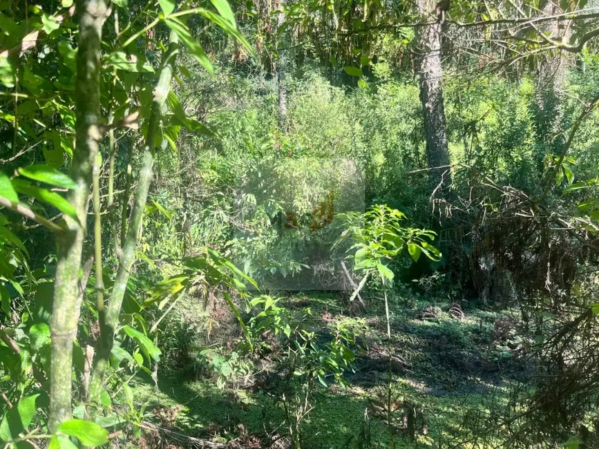 Foto 9 de Terreno / Lote com 1 quarto à venda, 25m2 em Nova Petropolis - RS