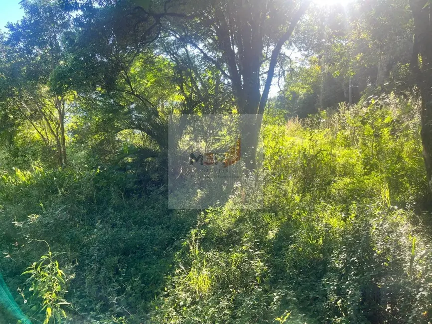 Foto 7 de Terreno / Lote com 1 quarto à venda, 25m2 em Nova Petropolis - RS