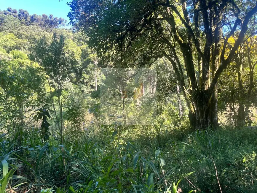 Foto 8 de Terreno / Lote com 1 quarto à venda, 25m2 em Nova Petropolis - RS