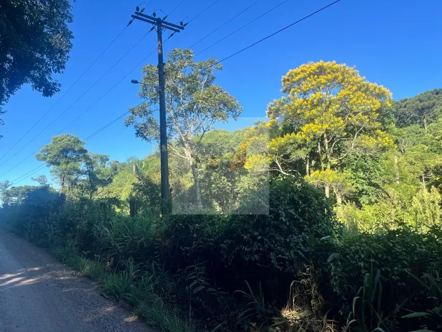 Foto 1 de Terreno / Lote com 1 quarto à venda, 25m2 em Nova Petropolis - RS