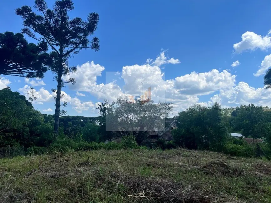 Foto 5 de Terreno / Lote à venda, 1020m2 em Nova Petropolis - RS