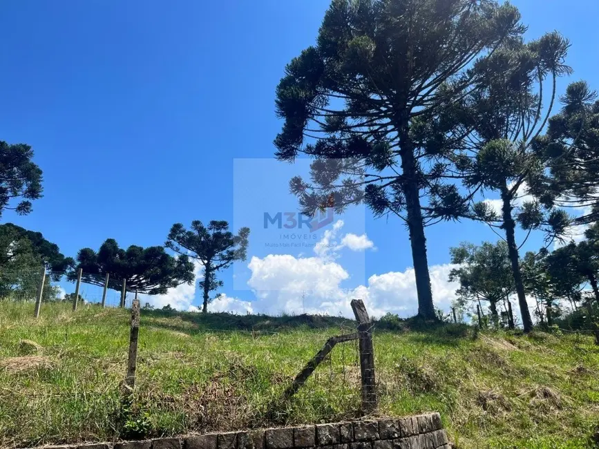 Foto 1 de Terreno / Lote à venda, 1020m2 em Nova Petropolis - RS
