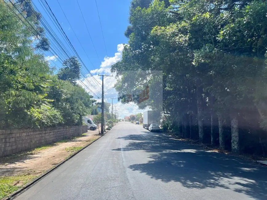 Foto 8 de Terreno / Lote à venda, 1020m2 em Nova Petropolis - RS