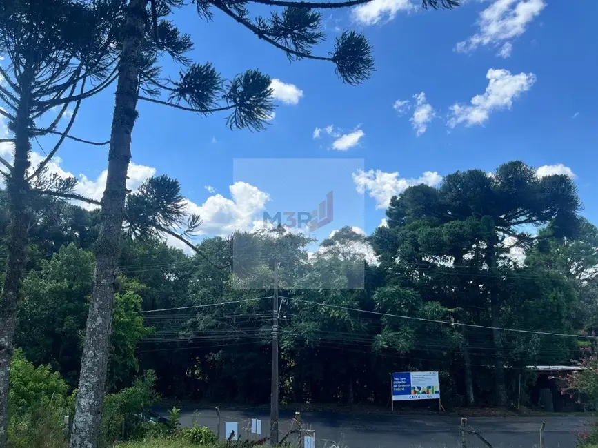 Foto 7 de Terreno / Lote à venda, 1020m2 em Nova Petropolis - RS