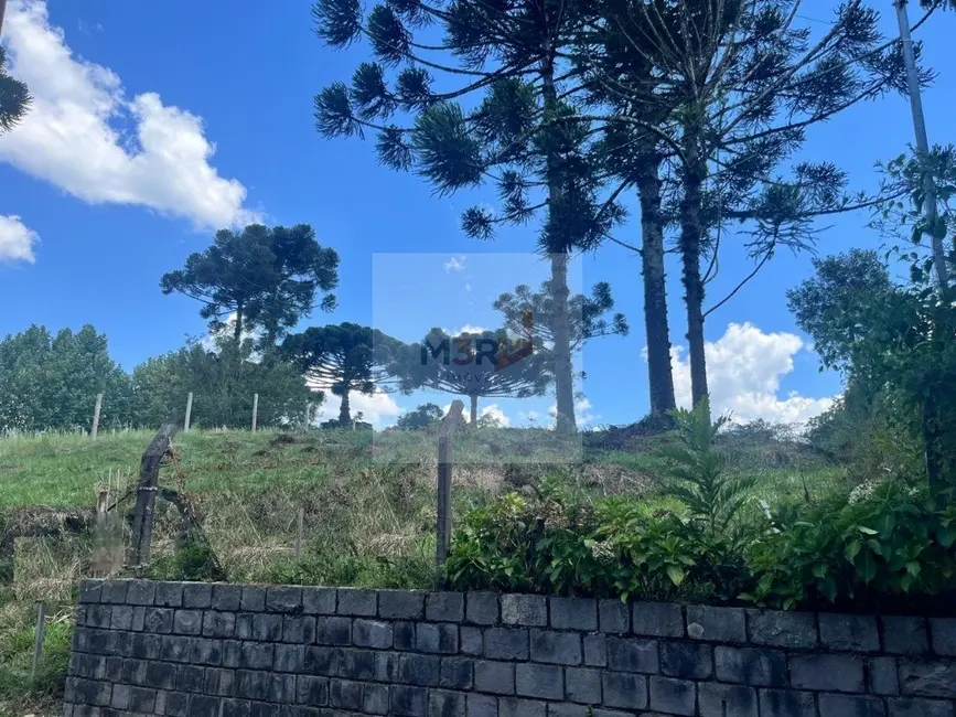 Foto 3 de Terreno / Lote à venda, 1020m2 em Nova Petropolis - RS