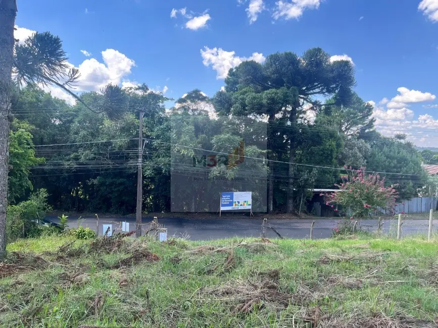 Foto 4 de Terreno / Lote à venda, 1020m2 em Nova Petropolis - RS