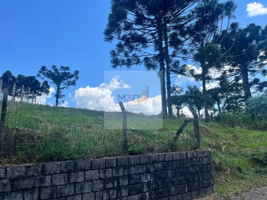 Foto 2 de Terreno / Lote à venda, 1020m2 em Nova Petropolis - RS