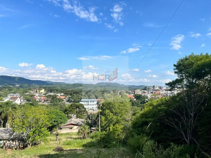 Foto 5 de Terreno / Lote à venda, 1109m2 em Nova Petropolis - RS
