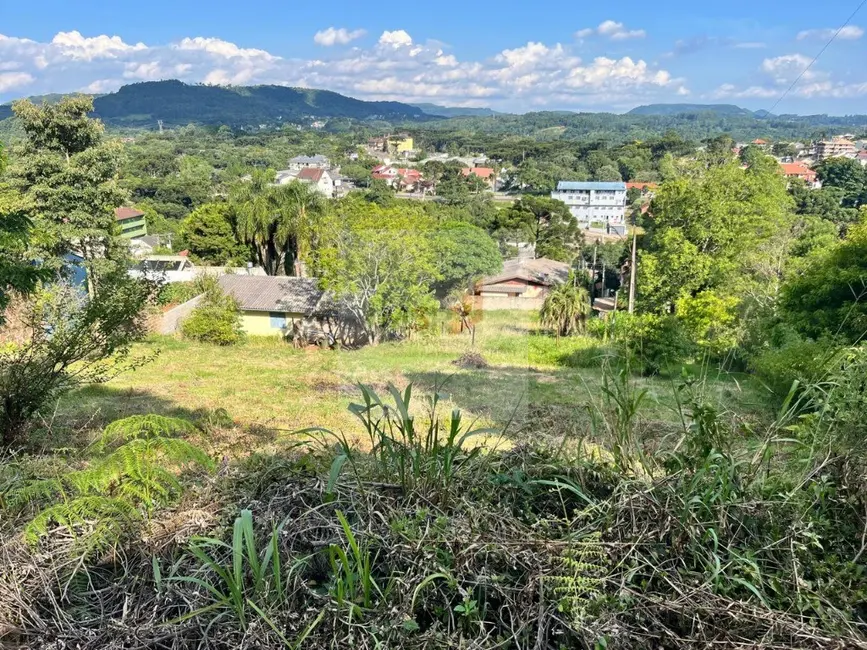 Foto 2 de Terreno / Lote à venda, 1109m2 em Nova Petropolis - RS
