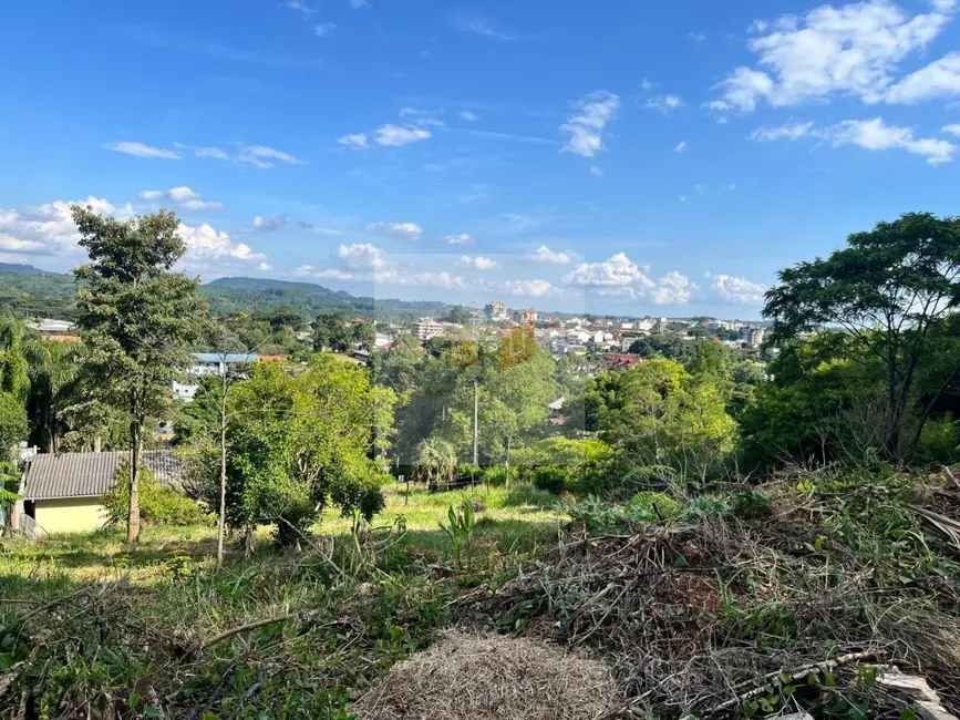 Foto 3 de Terreno / Lote à venda, 1109m2 em Nova Petropolis - RS