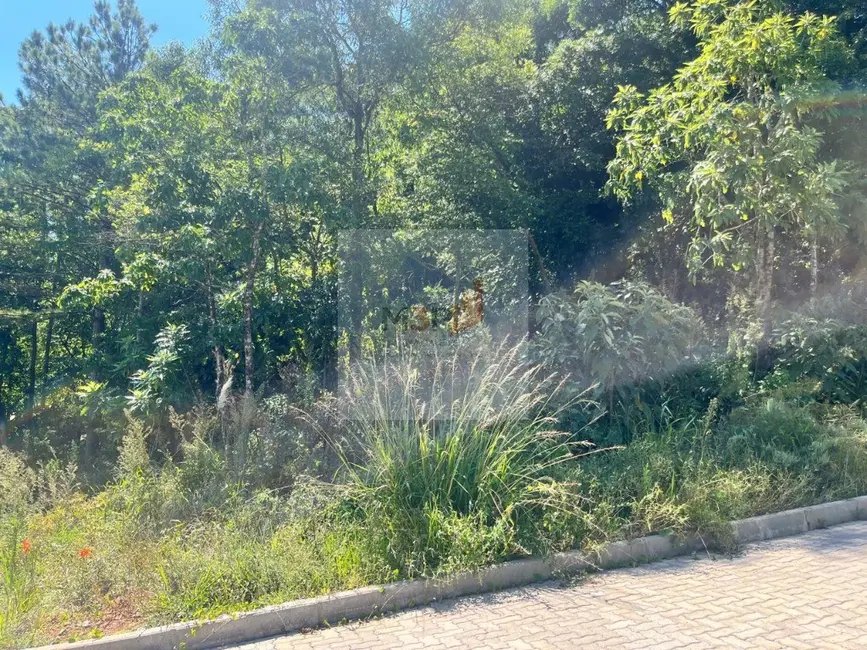 Foto 2 de Terreno / Lote à venda, 363m2 em Nova Petropolis - RS