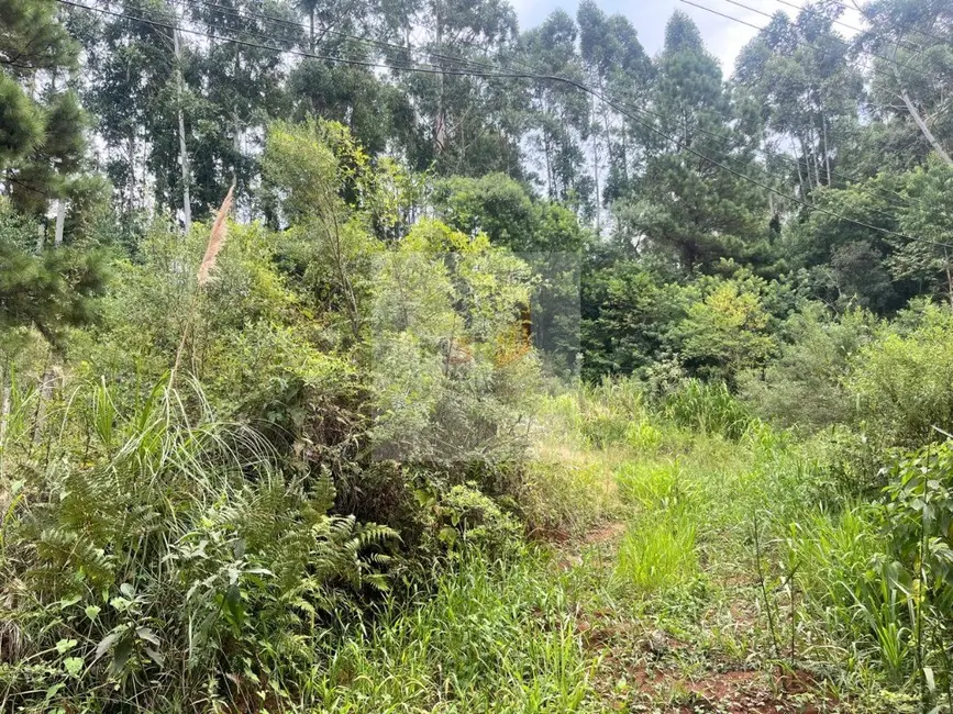Foto 3 de Terreno / Lote à venda, 800m2 em Nova Petropolis - RS