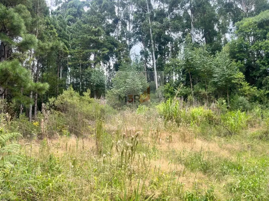 Foto 2 de Terreno / Lote à venda, 800m2 em Nova Petropolis - RS