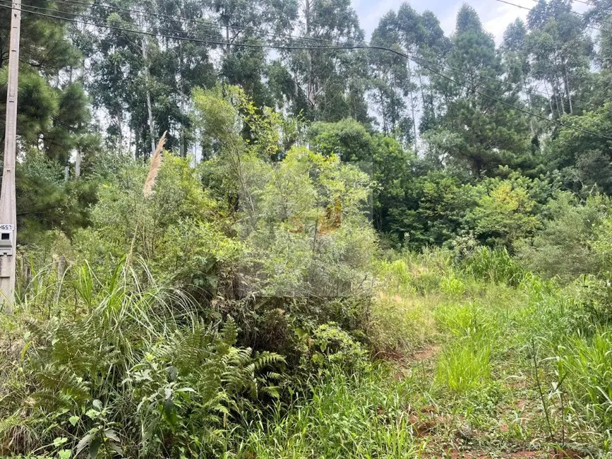 Foto 1 de Terreno / Lote à venda, 800m2 em Nova Petropolis - RS