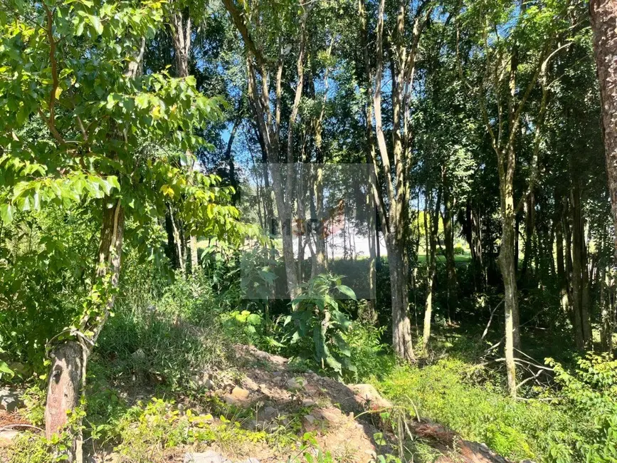 Foto 3 de Terreno / Lote à venda, 367m2 em Nova Petropolis - RS