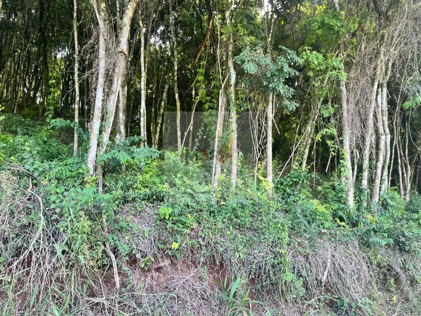 Foto 4 de Terreno / Lote à venda, 864m2 em Nova Petropolis - RS