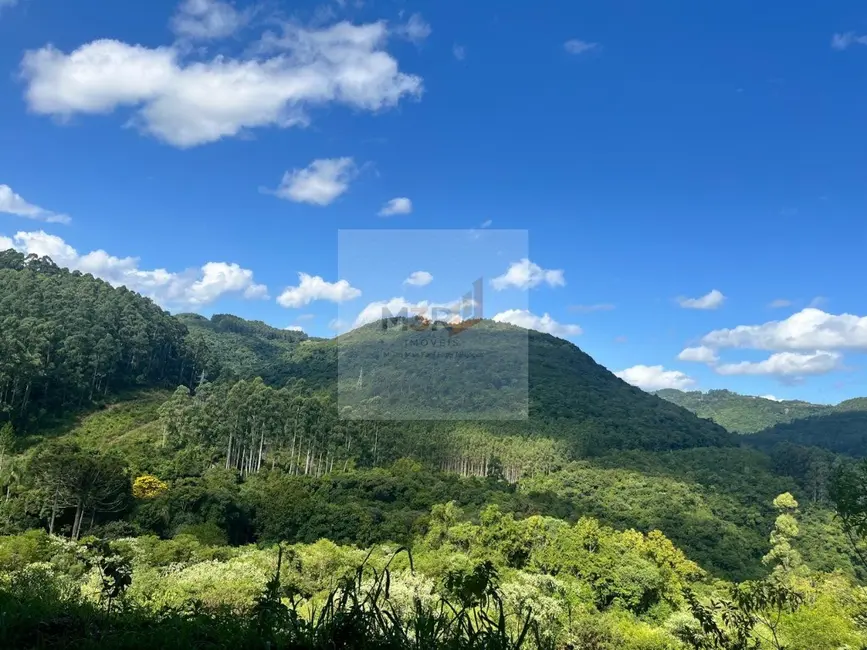 Foto 3 de Terreno / Lote à venda, 864m2 em Nova Petropolis - RS