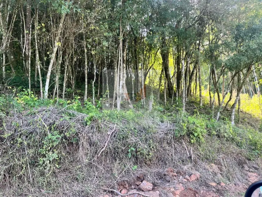 Foto 2 de Terreno / Lote à venda, 864m2 em Nova Petropolis - RS