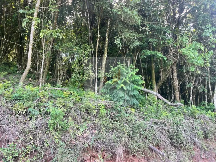 Foto 1 de Terreno / Lote à venda, 864m2 em Nova Petropolis - RS