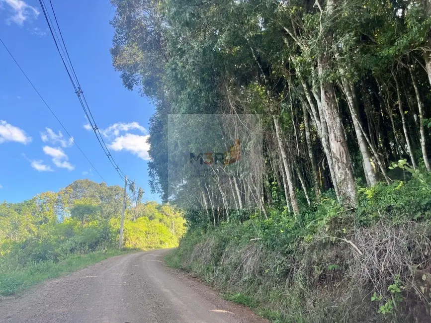Foto 5 de Terreno / Lote à venda, 864m2 em Nova Petropolis - RS