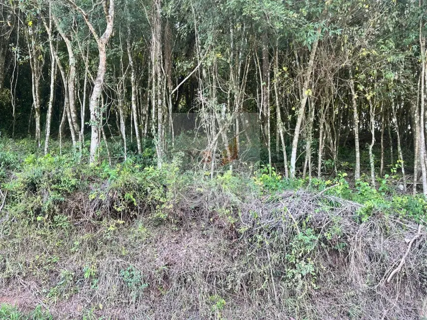 Foto 3 de Terreno / Lote à venda, 864m2 em Nova Petropolis - RS