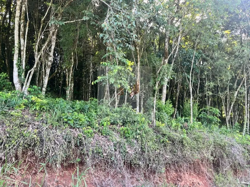 Foto 3 de Terreno / Lote à venda, 942m2 em Nova Petropolis - RS