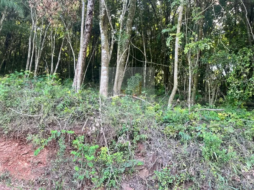 Foto 1 de Terreno / Lote à venda, 942m2 em Nova Petropolis - RS