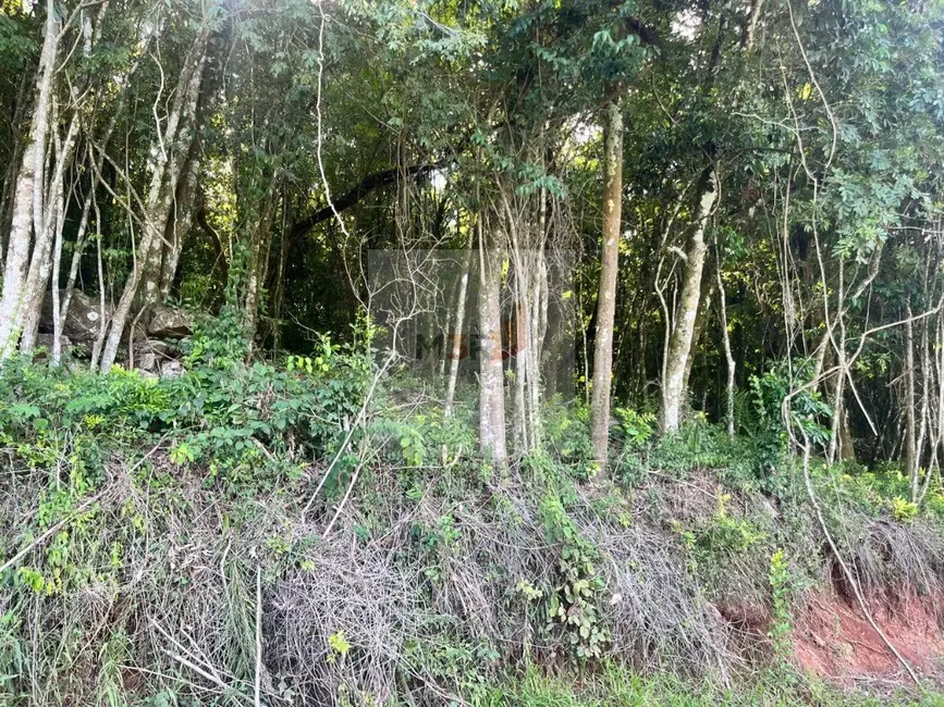 Foto 2 de Terreno / Lote à venda, 970m2 em Nova Petropolis - RS
