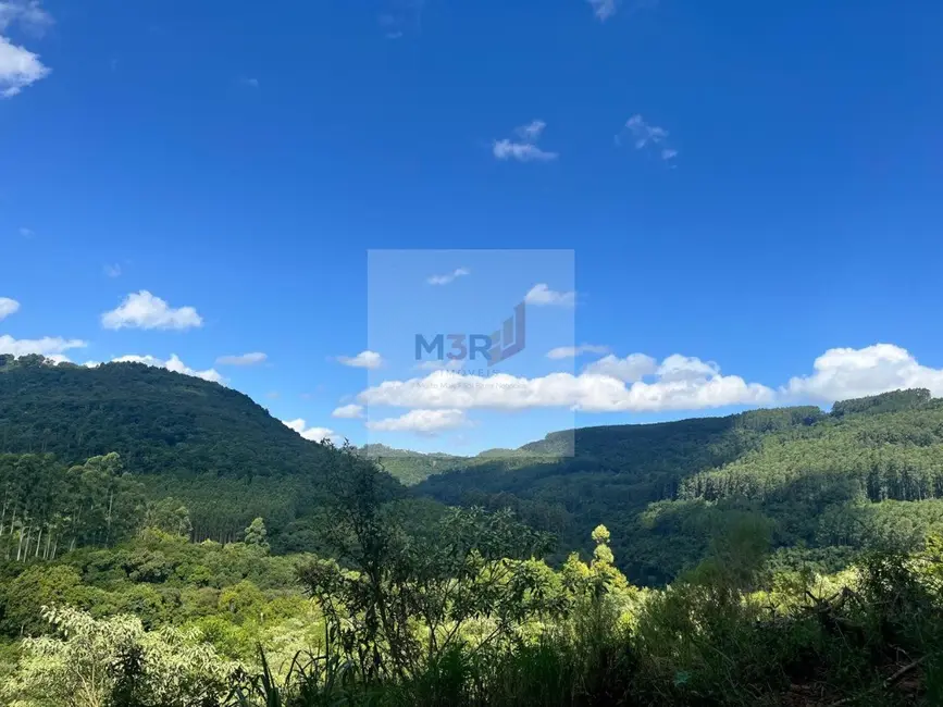 Foto 3 de Terreno / Lote à venda, 970m2 em Nova Petropolis - RS