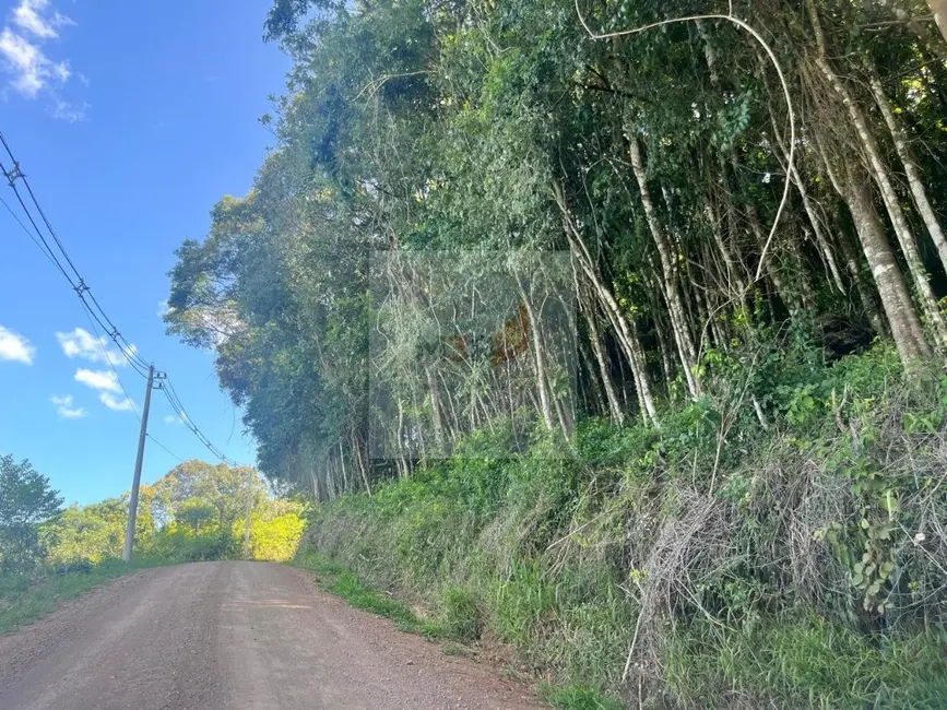 Foto 5 de Terreno / Lote à venda, 970m2 em Nova Petropolis - RS