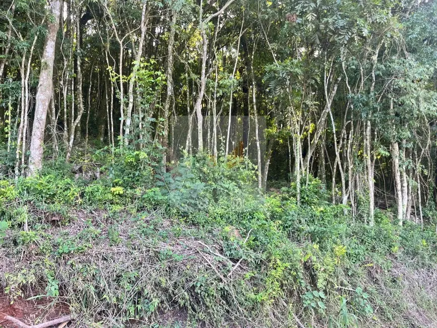 Foto 1 de Terreno / Lote à venda, 970m2 em Nova Petropolis - RS