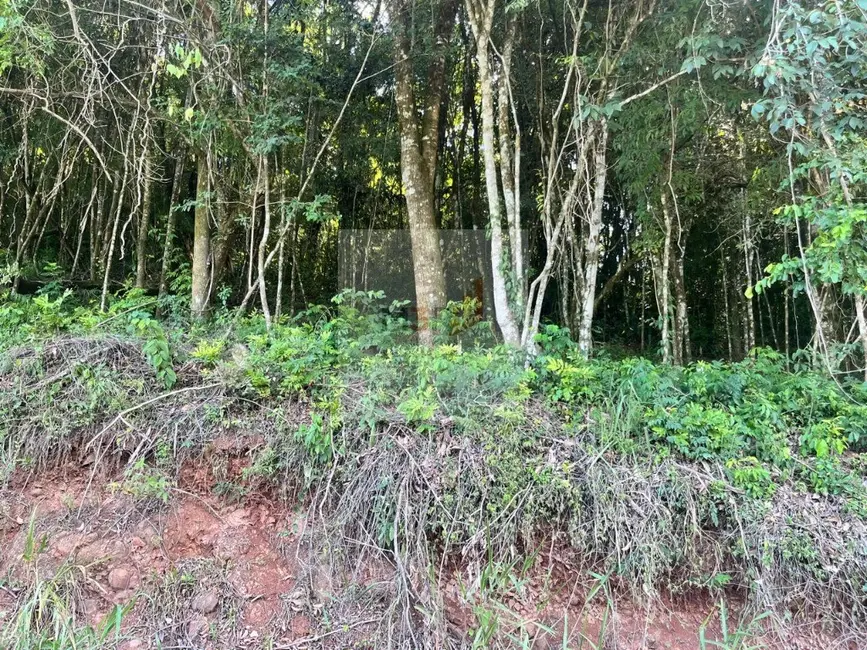 Foto 2 de Terreno / Lote à venda, 760m2 em Nova Petropolis - RS