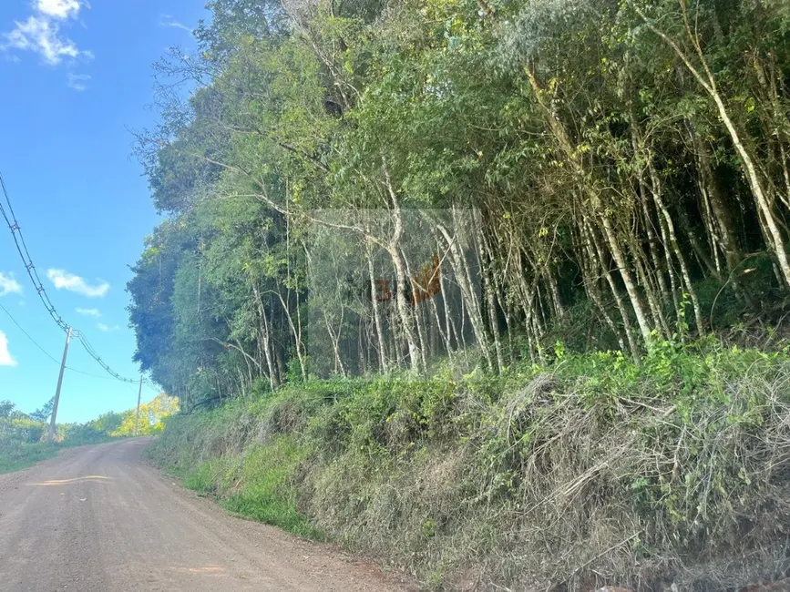 Foto 4 de Terreno / Lote à venda, 760m2 em Nova Petropolis - RS