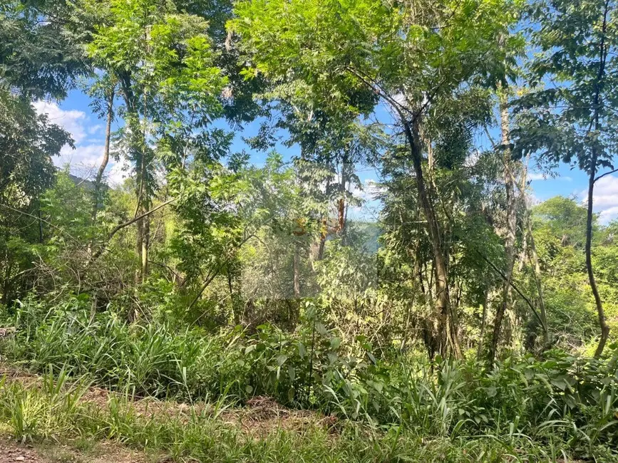 Foto 4 de Terreno / Lote à venda, 977m2 em Nova Petropolis - RS